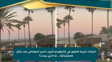 تحركات غريبة للطيور في كاليفورنيا قبيل تحذير تسونامي بعد زلزال كامتشاتكا… ما الذي يحدث؟